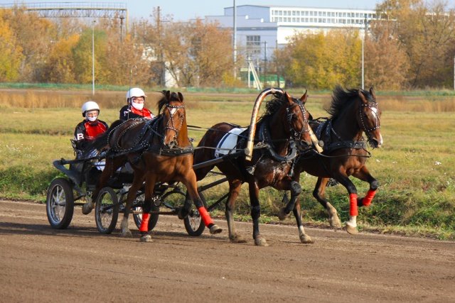 ? Вельская тройка завоевала 3 место на Кубке Русских т...