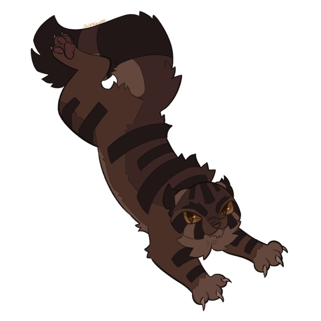 Песчаная Буря, Щербатая, Пепелица, Синяя Звезда, Коготь...