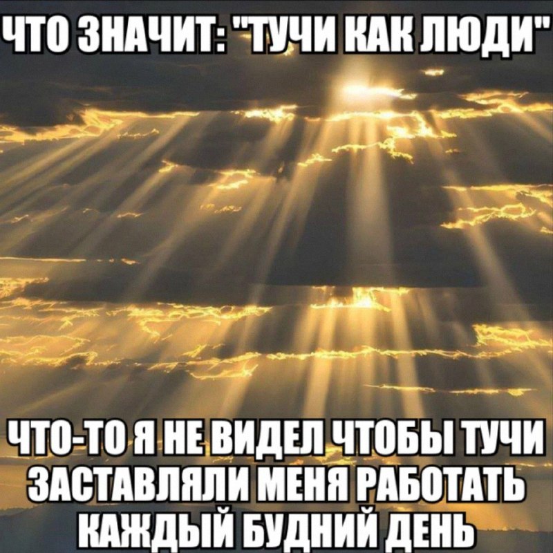 Утренняя подборочка