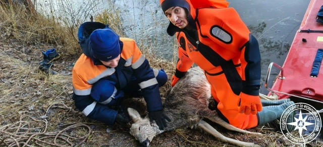 В Башкирии спасли первую жертву тонкого льда.
С первым...