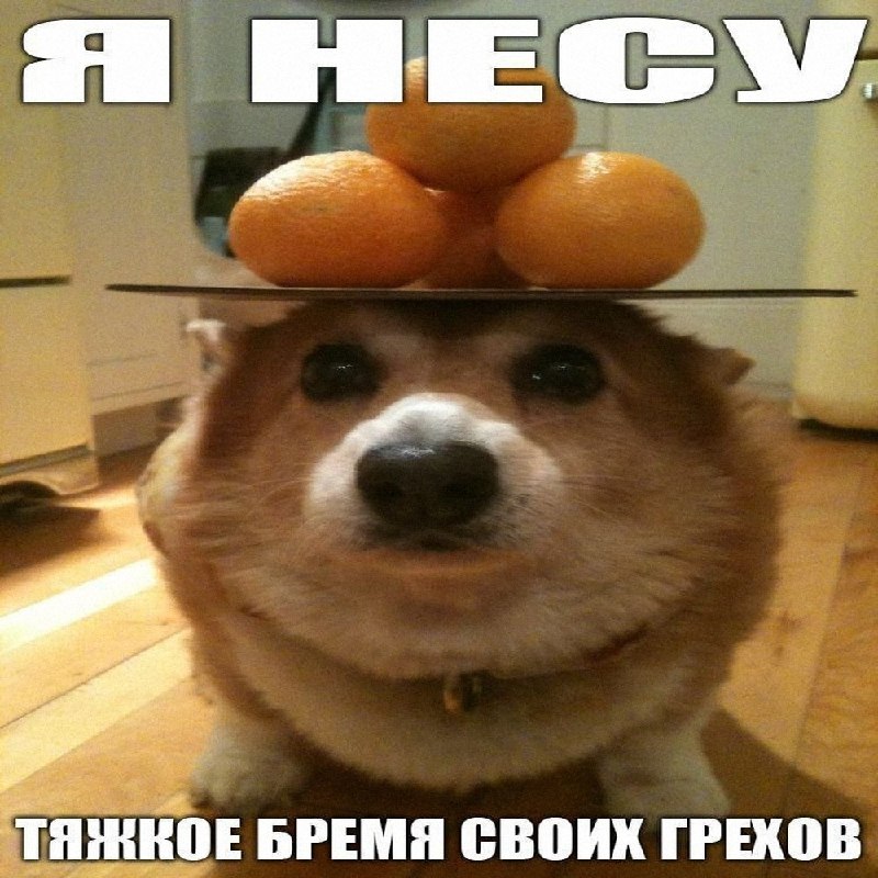 Утренняя подборочка