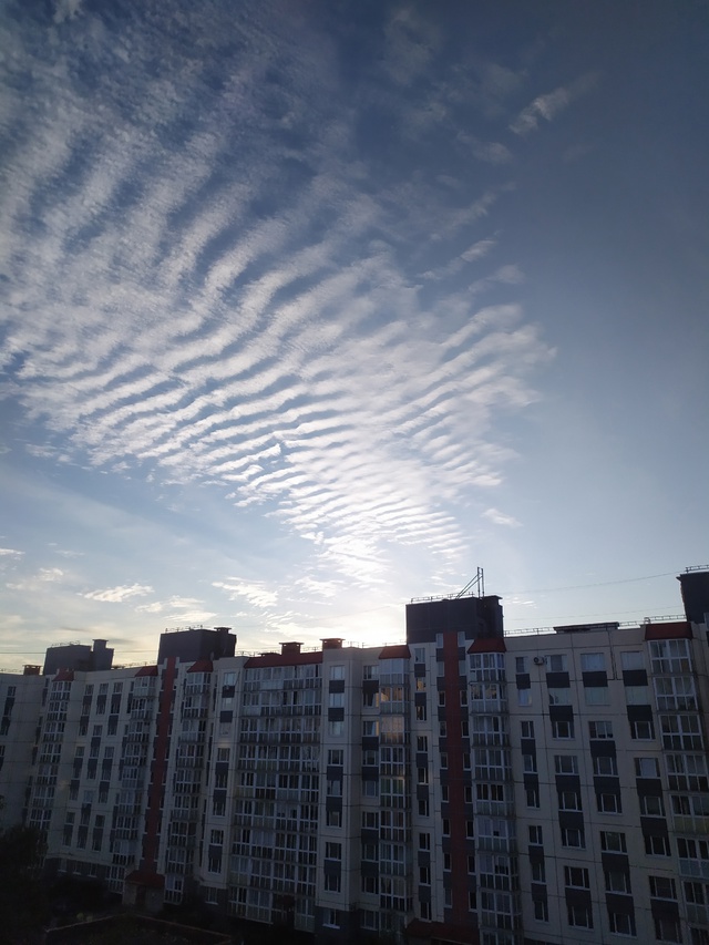 Доброе утро, соседи!