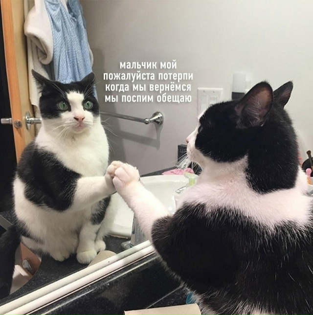 Бодрого утра