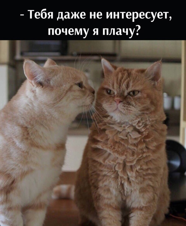 😂😂😂