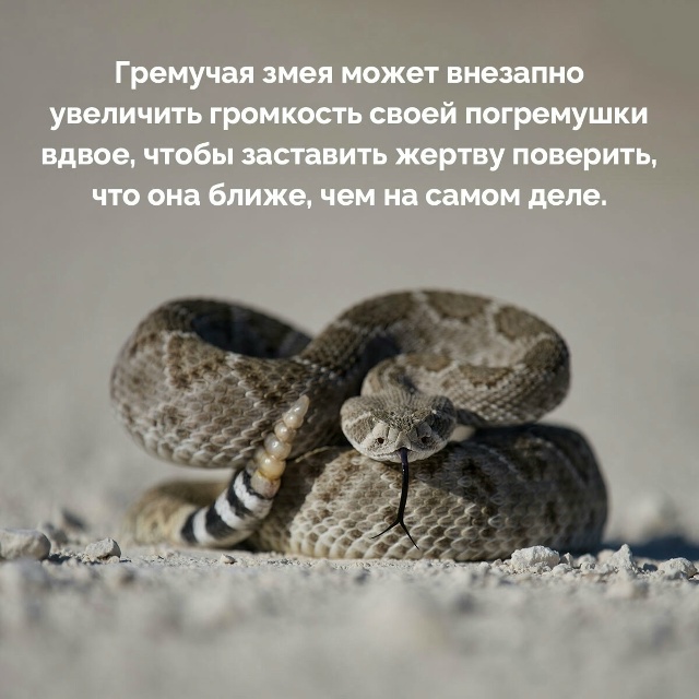 Подборка познавательных фактов.