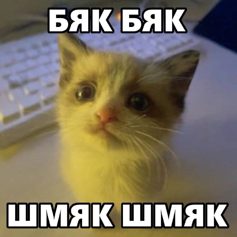 Утренняя подборочка