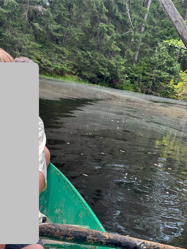 Поверхнось реки Выксунка, впадающей в Верхневыксункий...