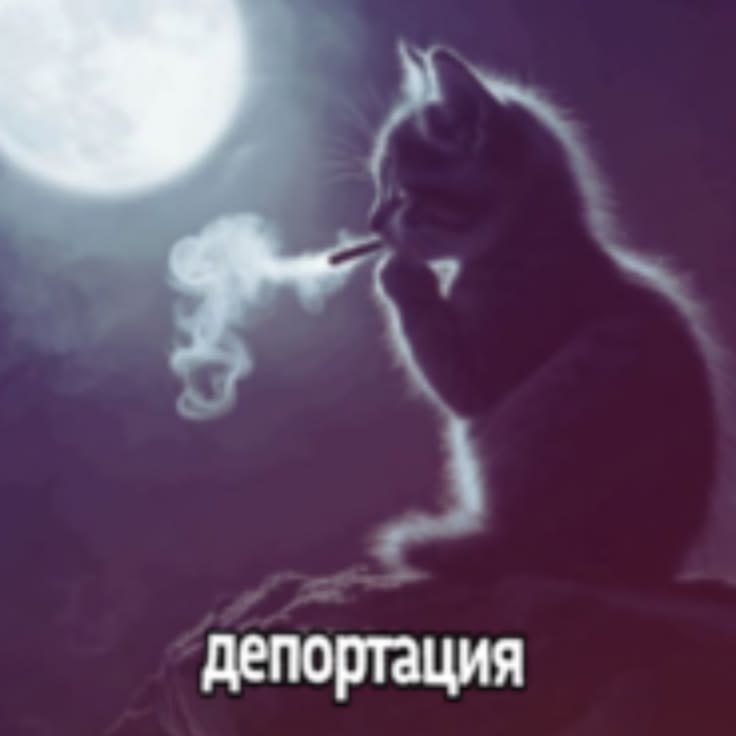 Я в туалете или на балконе, когда мы с ним поругались, но живем в однушке