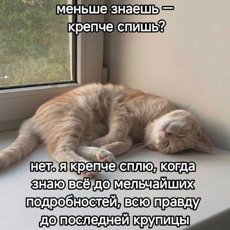 Утренняя подборочка