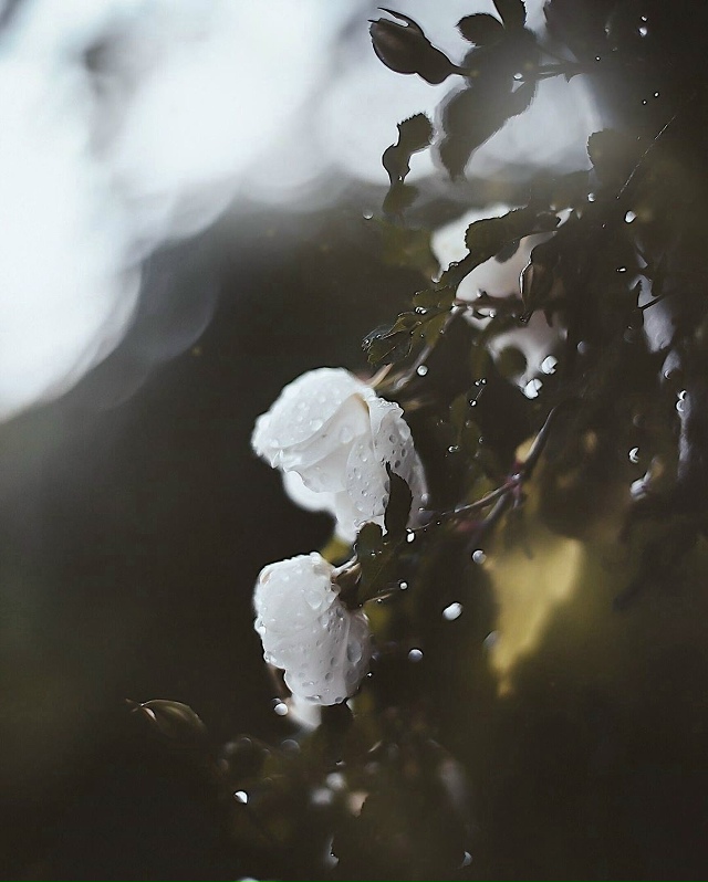 важно одно: не озлобиться от разочарований, научиться ?...