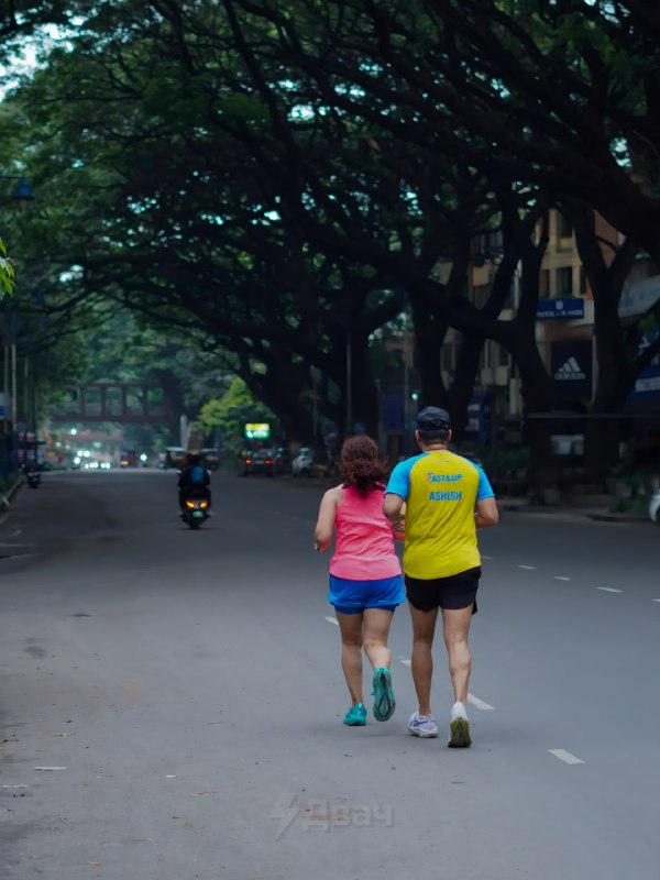 Коротко о том, почему вокруг так мало нормальных дорог: ещё в 1976 году два брата из Индии построили