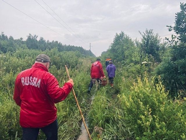 Спасатели нашли заблудившихся грибников в Рузском окр...
