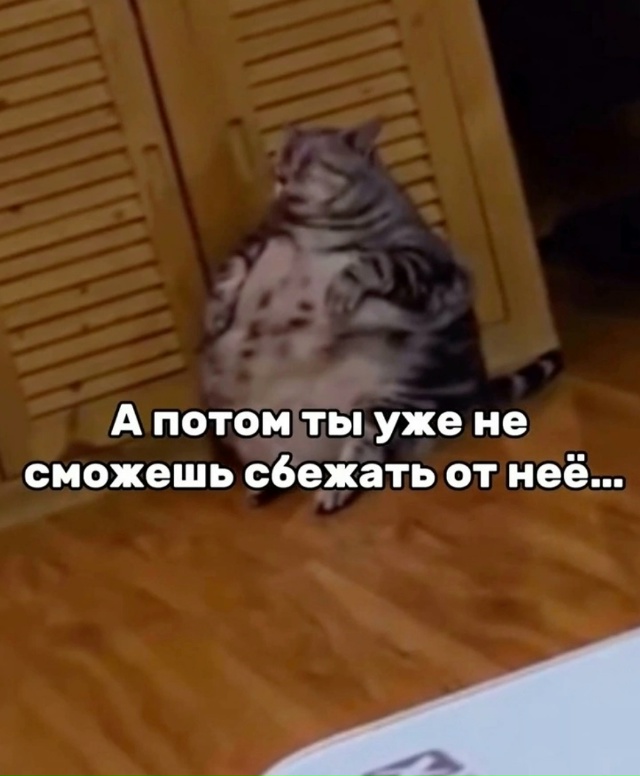 Ну тут спору вообще нет, такие всем нужны