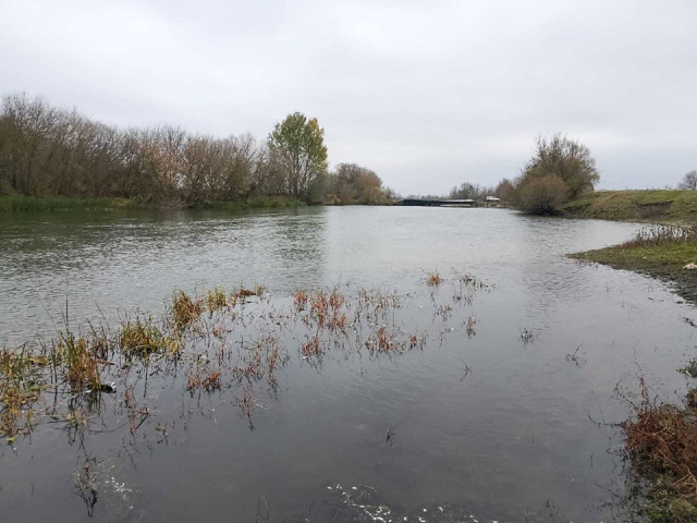 ❗️Куряне жалуются на мор рыбы в реке Сейм
Тревогу за...