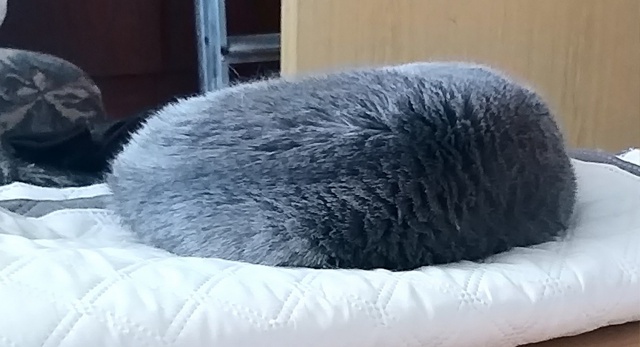 Угадайте шапку!!!