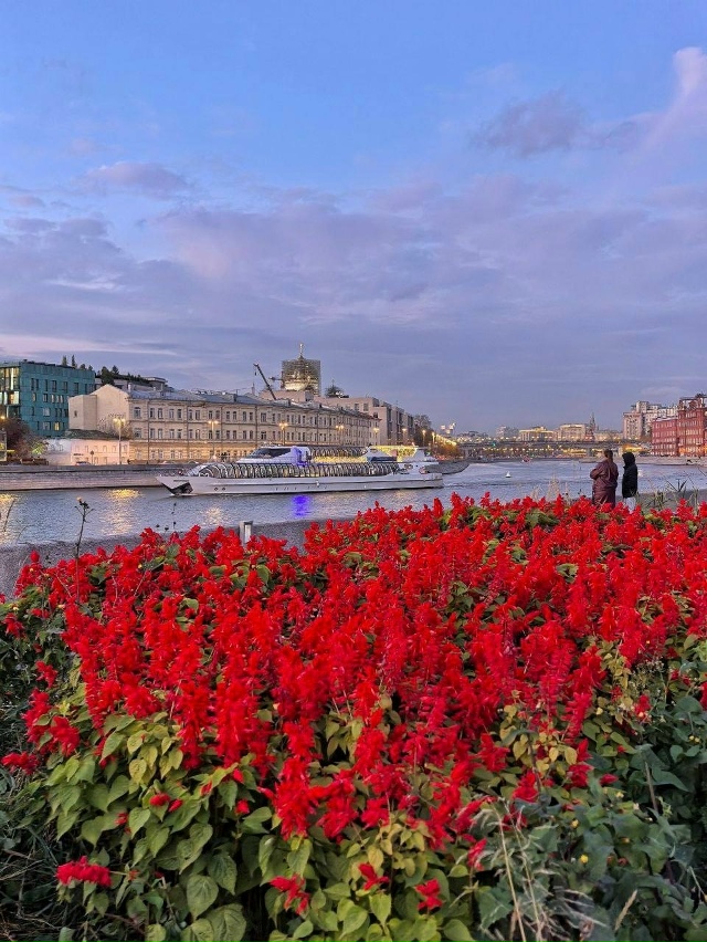 Краски Мoскoвскoй oсени 😍