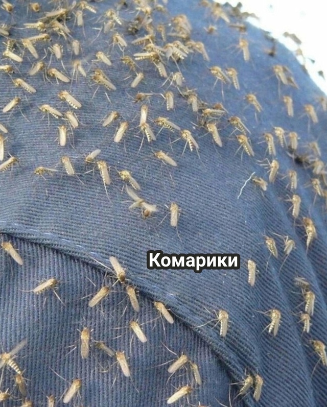 ⚡️Ладно, убедили😀