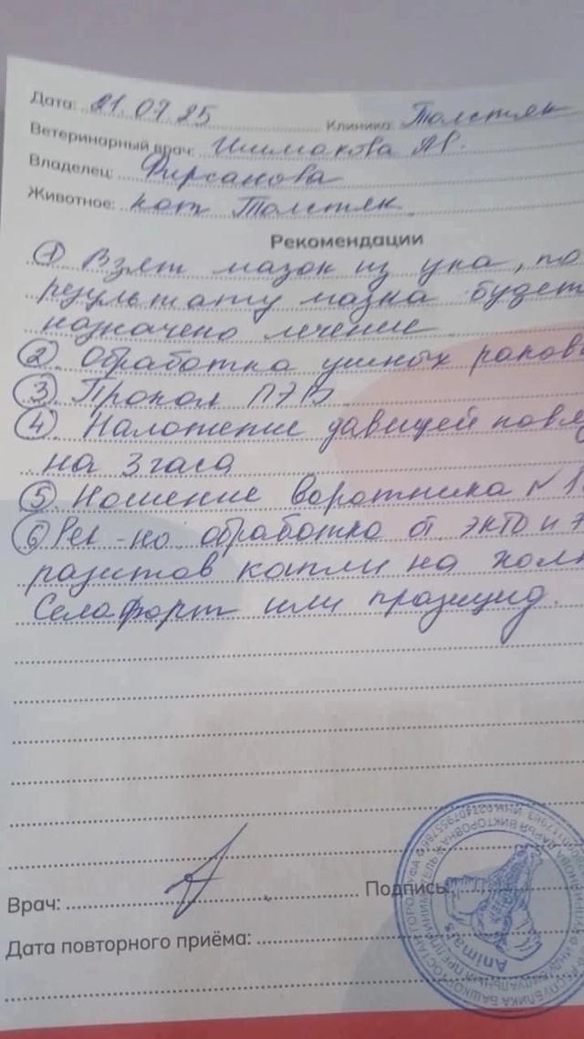 Друзья. 🆘🆘🆘🆘
Вот такой котик попался на пути. У кот?...