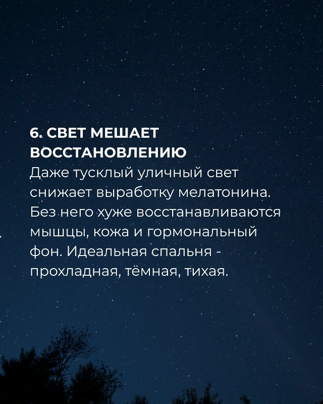 Сон — это не отдых, а генеральная уборка мозга. Недосып...