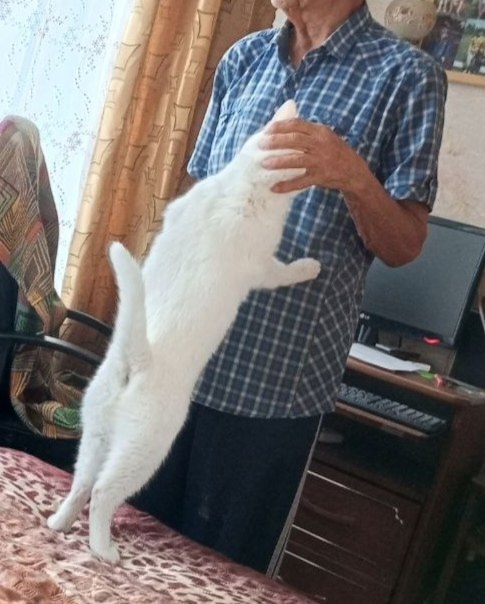 Ну возьми меня на ручки! 😻