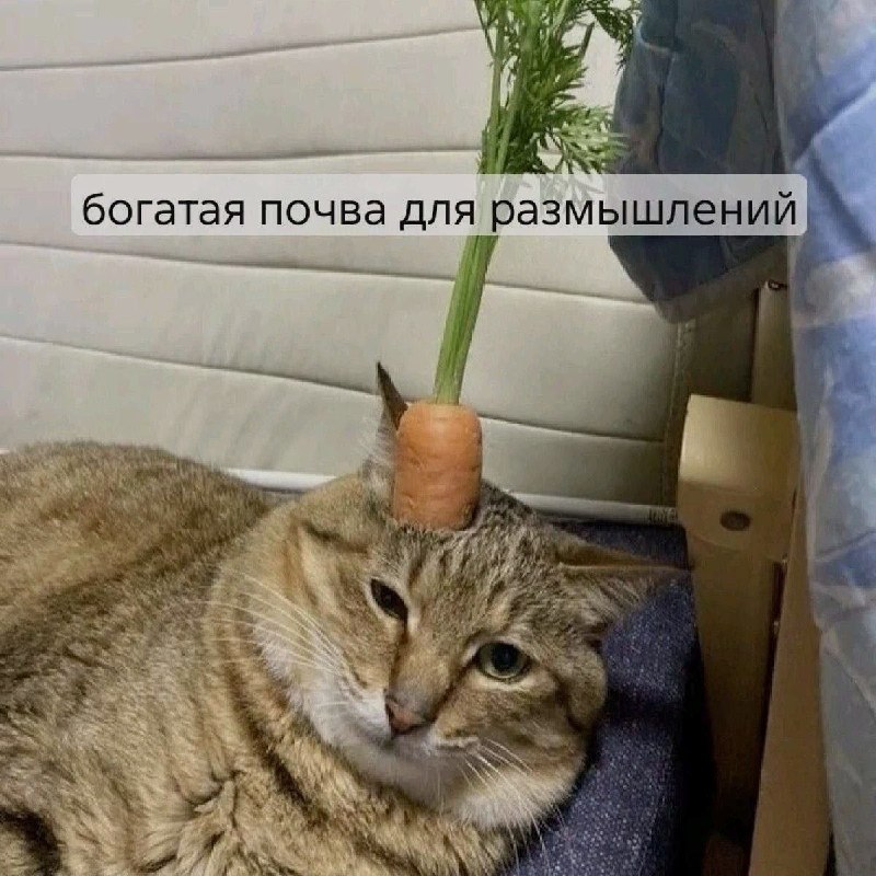 Ночная подборочка
Спать, режим