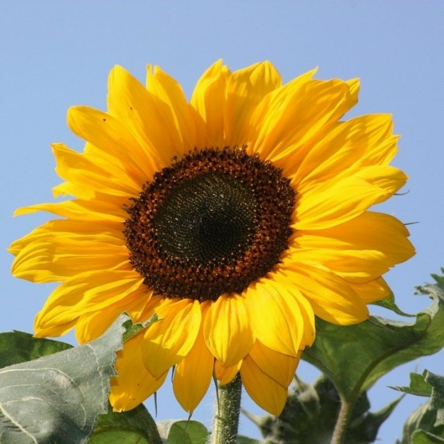 Всем доброго вечера!
Вечером все дневные дела законче?...