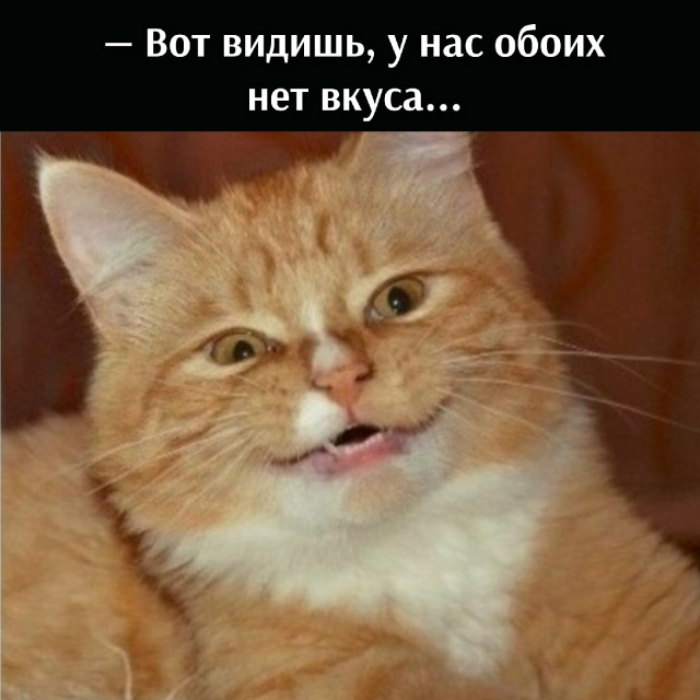 😂😂😂