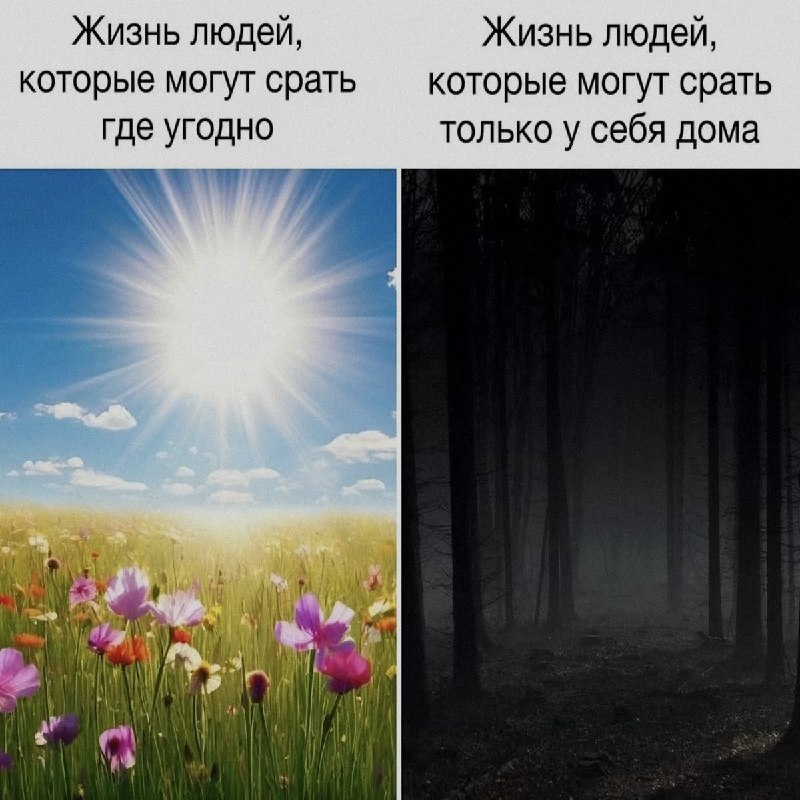 Ночная подборочка
Выходные, не спим