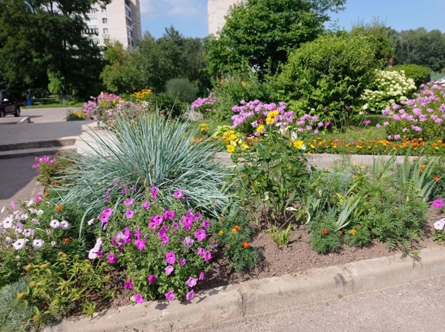 🌸Цветник возле 