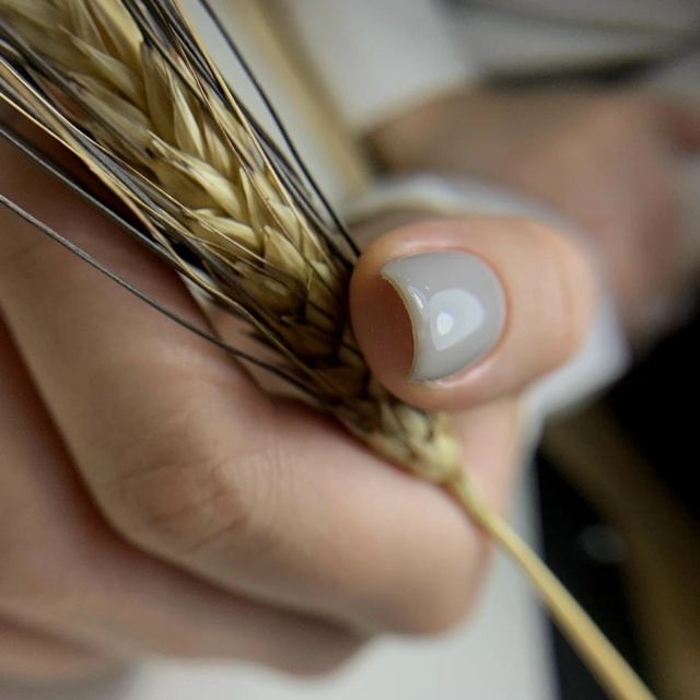 Что может быть приятнее нового маникюра?! Наверно толь?...