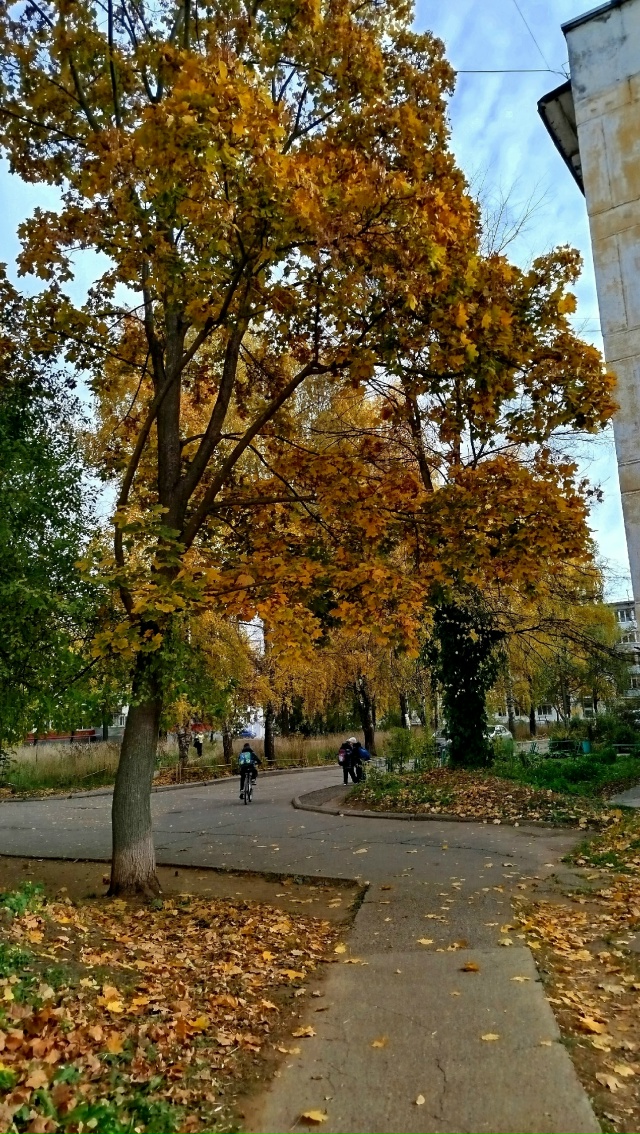 В городских дворах🍂🍁🍂
Автор: Светлана Льдокова