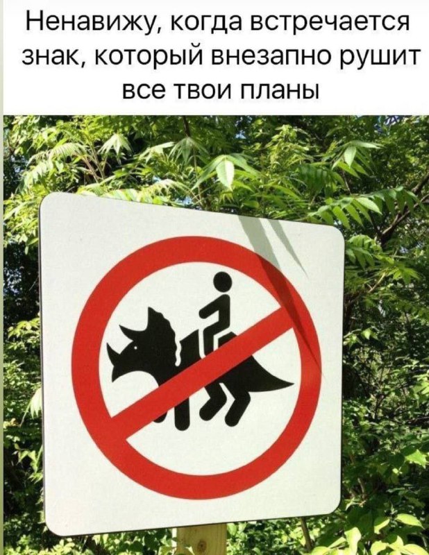 Утренняя подборочка