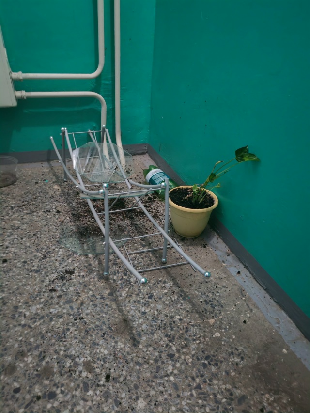 Вот стояла себе в третьей парадной 26 дома стойка для цв...