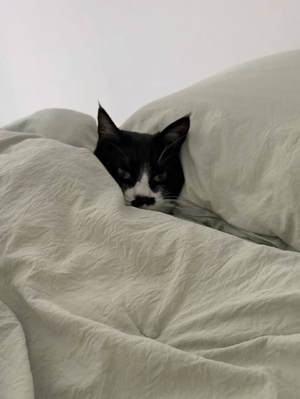 Ну идем уже споть, я же жду тибя в кроватке :3