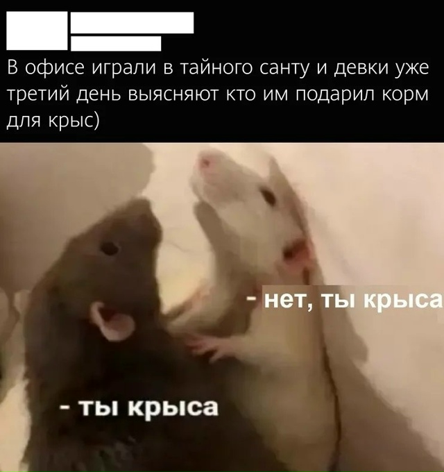 ? «Тайный Санта» в офисе: радость или разборки?
? Пси...