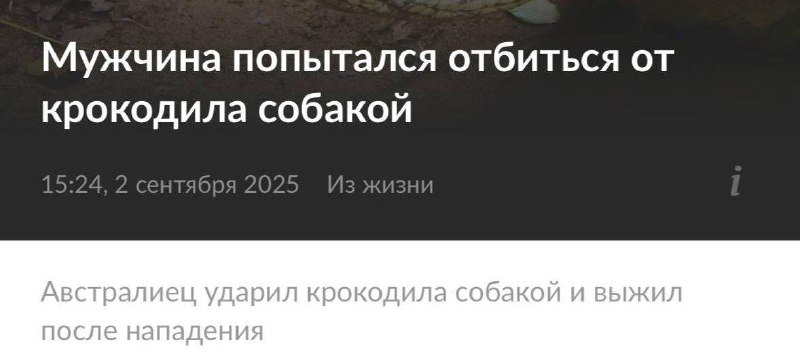 Австралия — для сильных духом. Здесь выживает лишь тот, кто не ищет лёгких путей