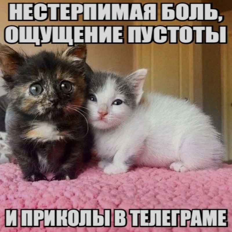 Ночная подборочка
Спать, режим