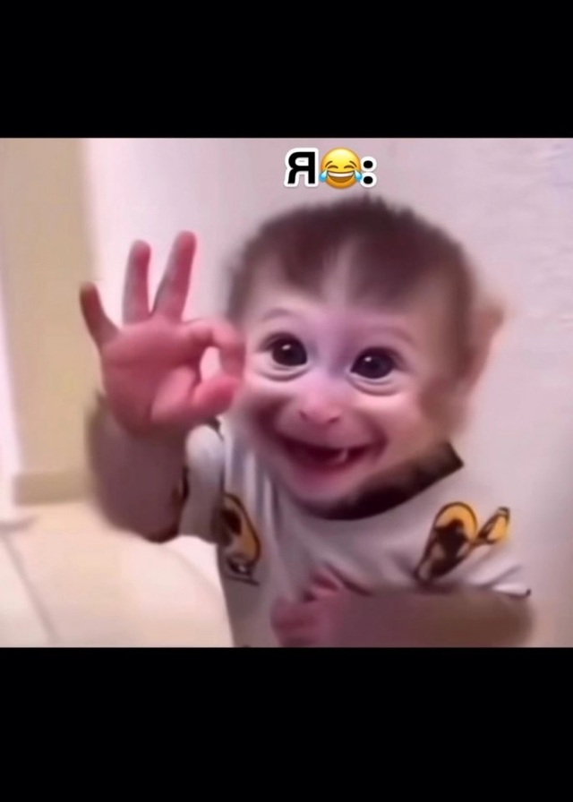 Впрочем как всегда😅