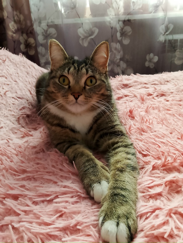 Передом и задом))) 🤗