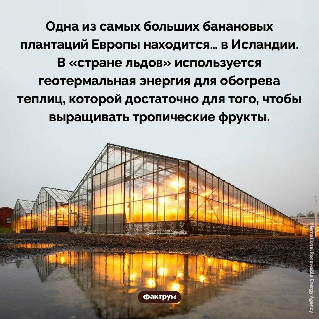 Подборка интересных фактов.