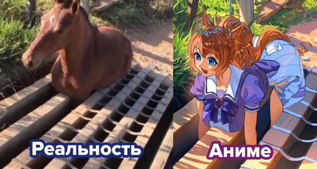 #мемы@fantv_ru