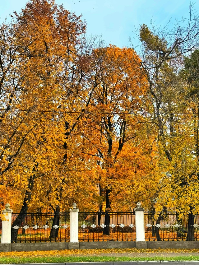 Какая красивая осень 🍂