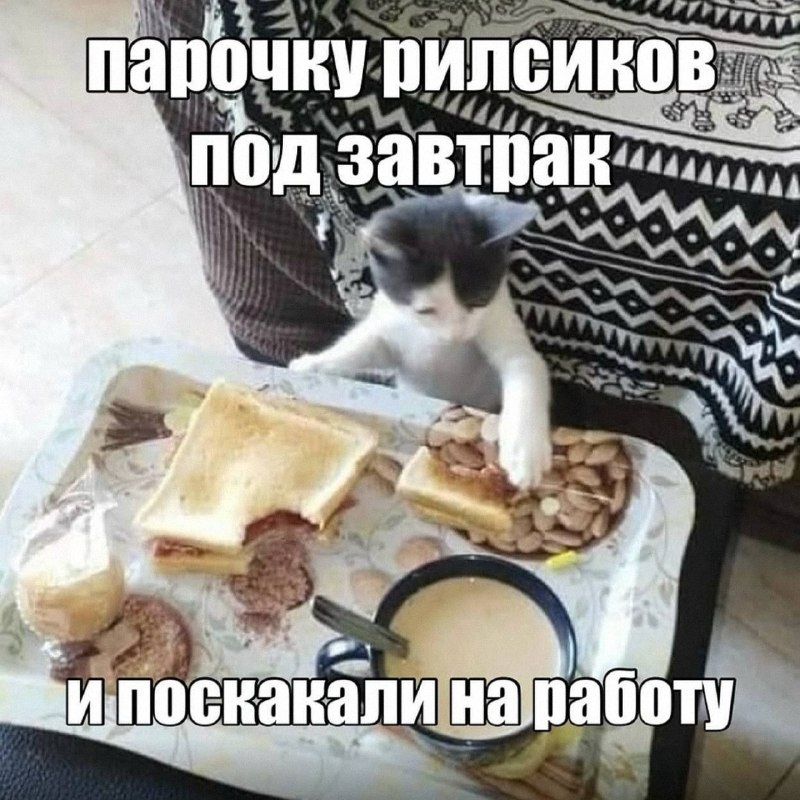 Утренняя подборочка