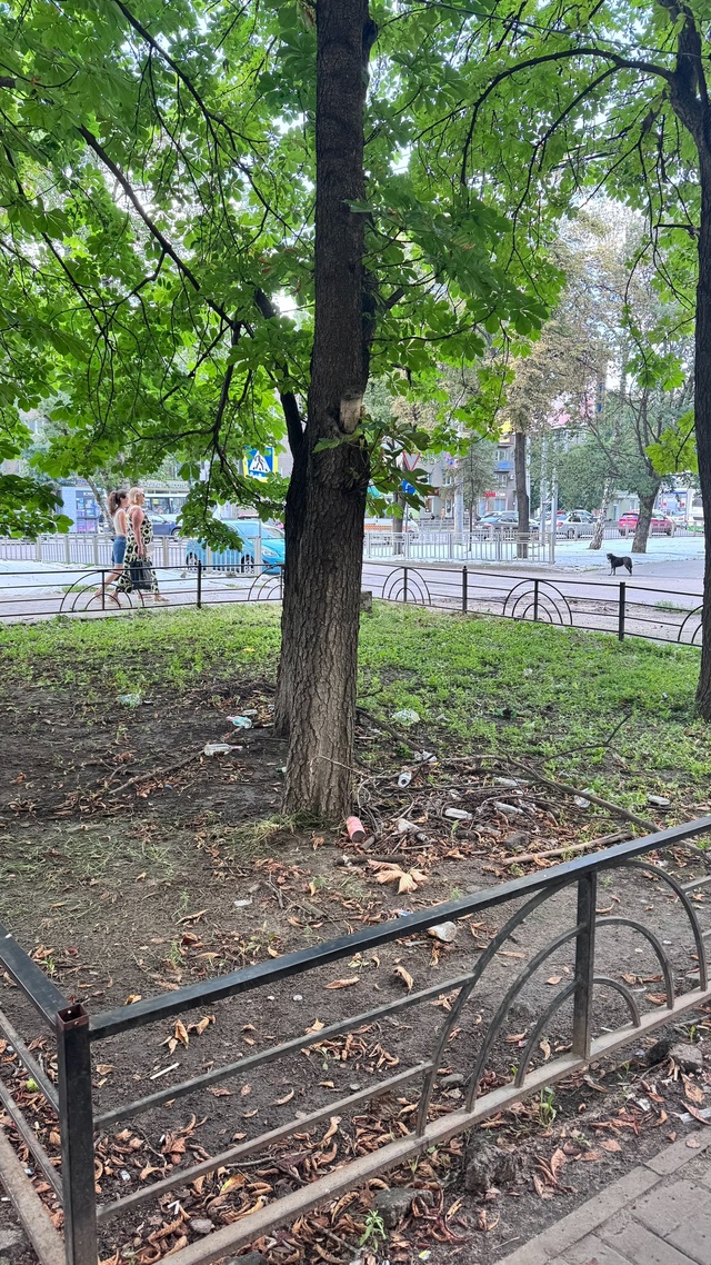 🗣️Добрый вечер,Воронежцы!
Вчера увидела такую картин...