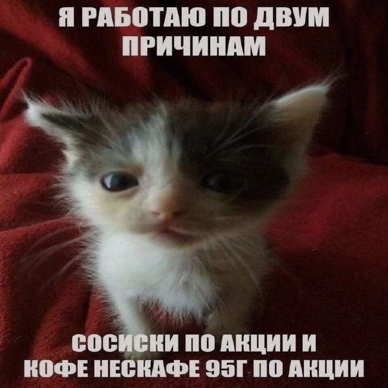Ночная подборочка
Спать, режим