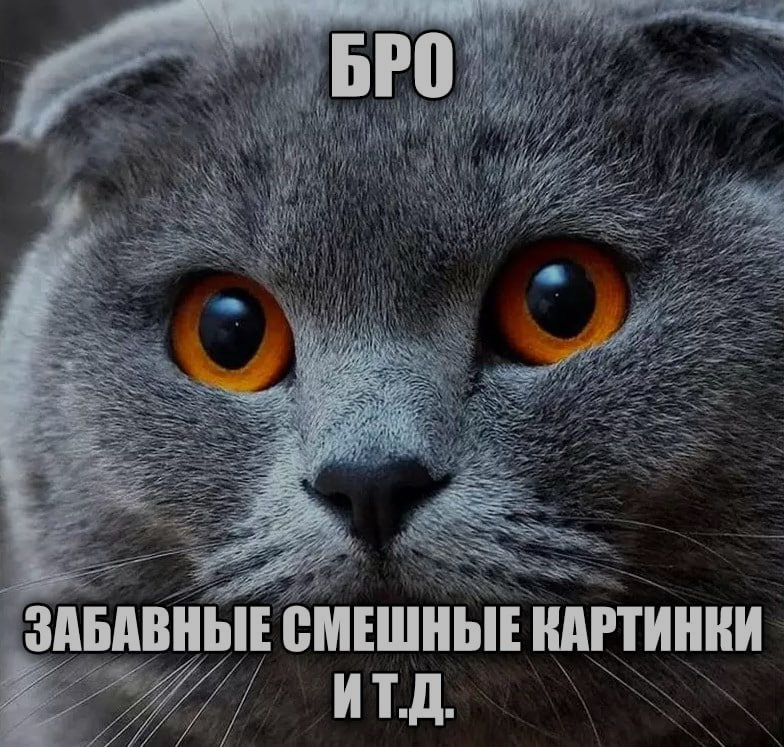 Ночная подборочка
Выходные, не спим