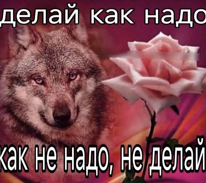 Когда пытаешься объяснить ему, как надо с тобой обращаться и чего ты хочешь, но тогда получится, что