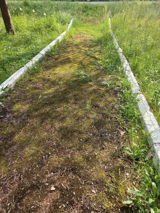 Прошу обратить внимание администрации города Острова ...