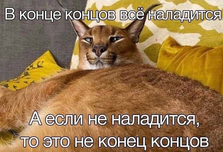 Утренняя подборочка