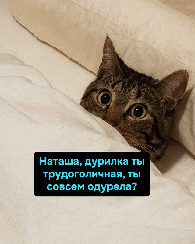 Работай, Наташа, работай — пока кто-то в этом доме стра?...